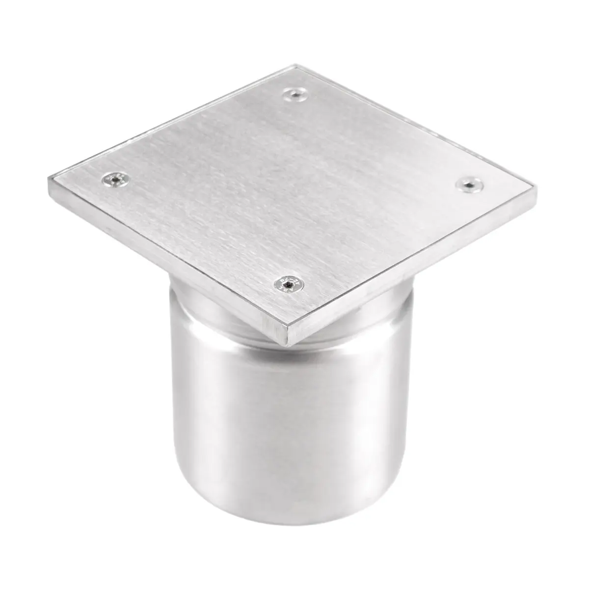 Inspection verticale en acier inoxydable avec couvercle à plaque